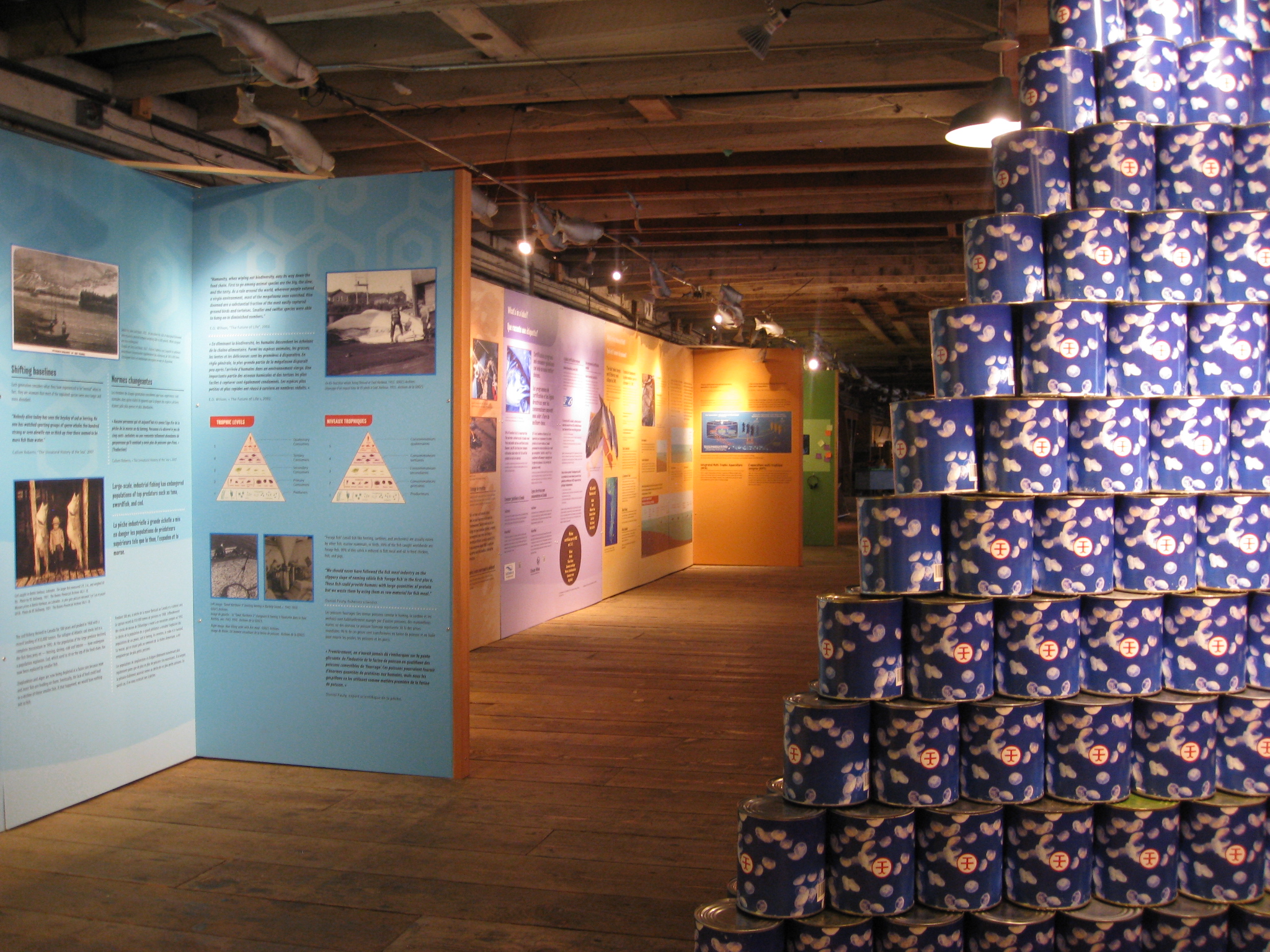 Temporary Exhibit “Seafood for Thought”.